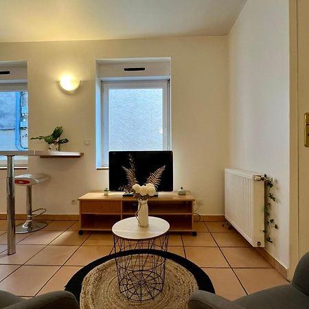 Le Studio Theolier Downtown - Close To Pedestrian Street Tournon-sur-Rhone Exterior foto