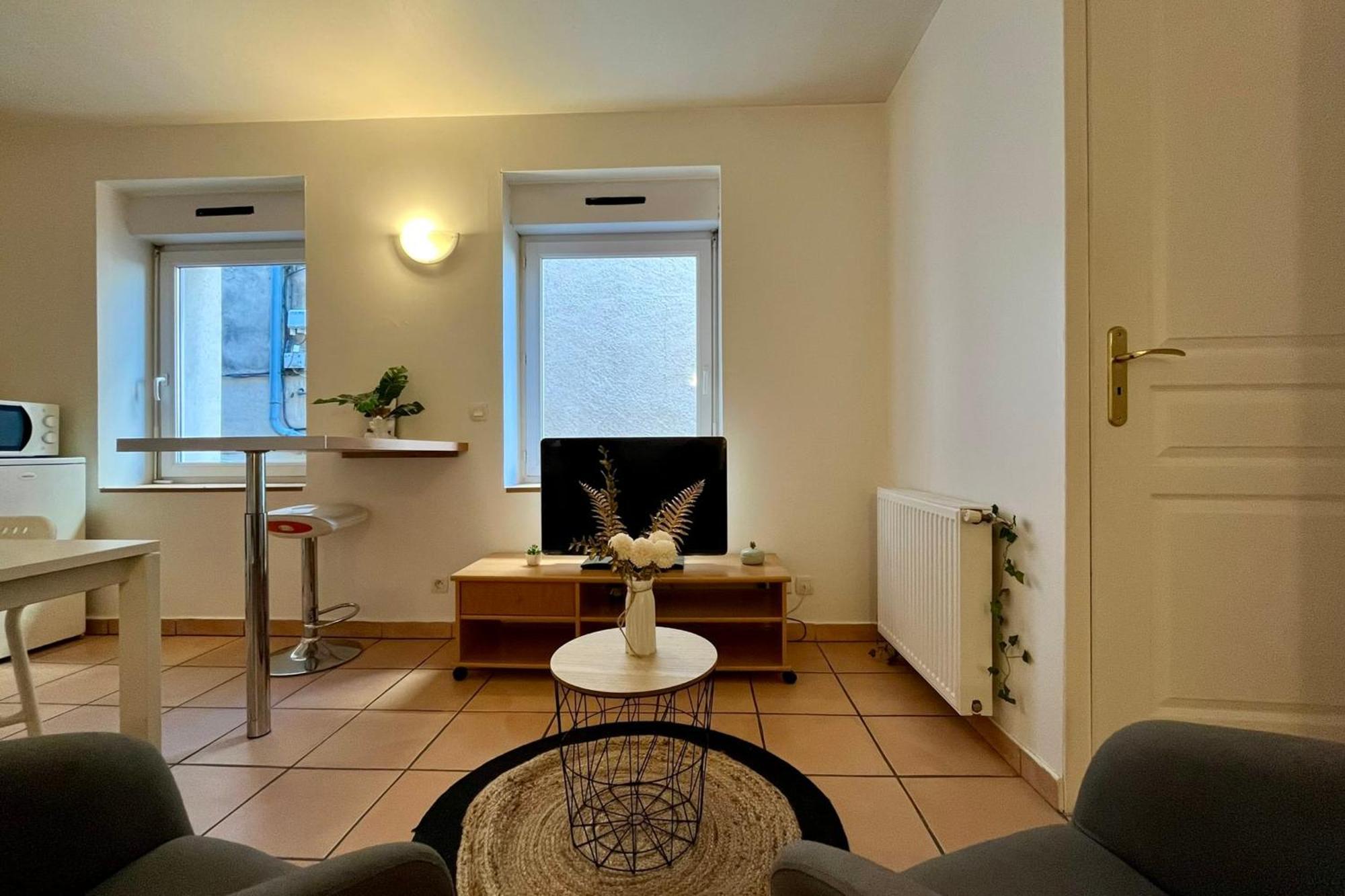 Le Studio Theolier Downtown - Close To Pedestrian Street Tournon-sur-Rhone Exterior foto