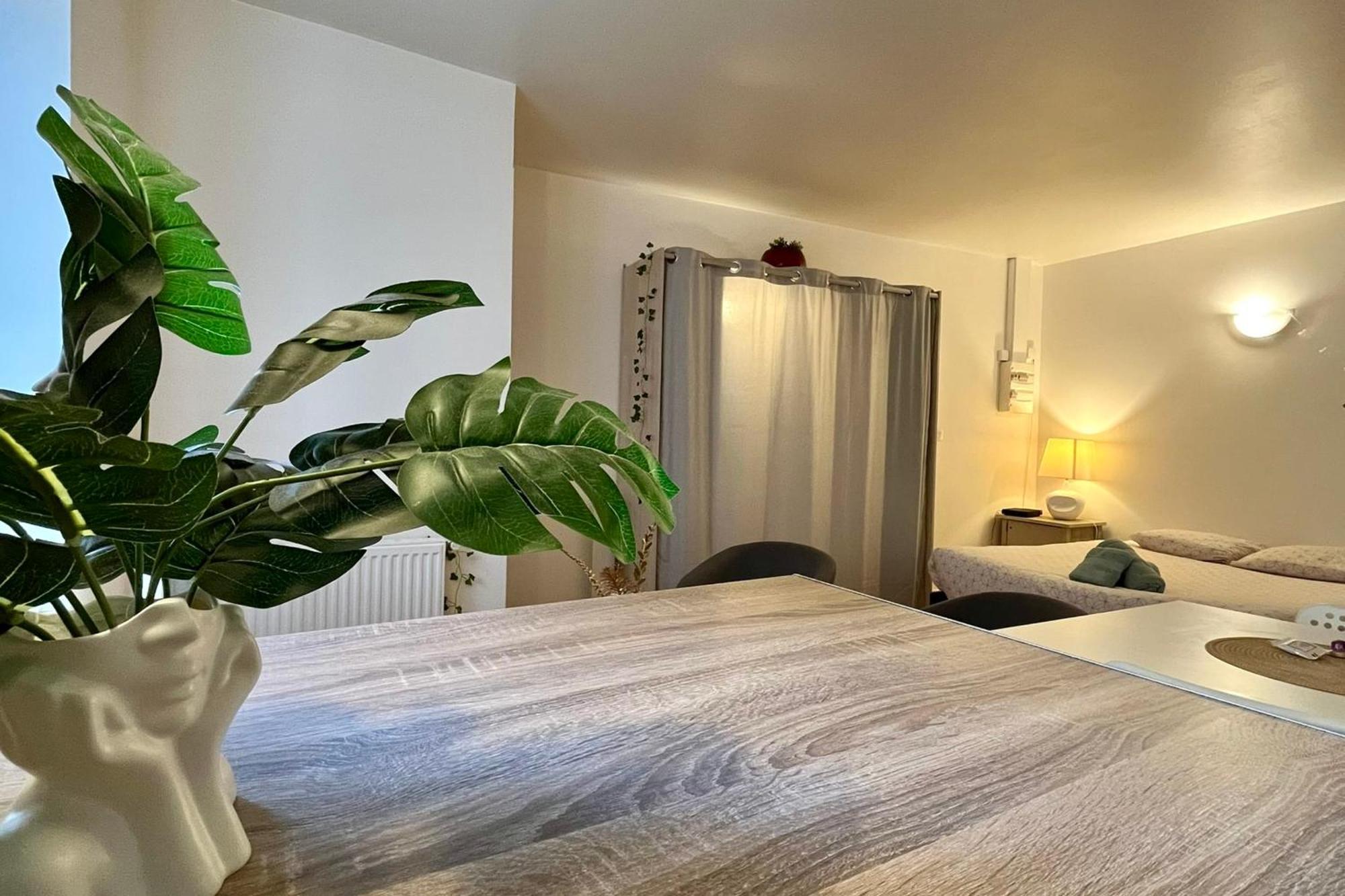 Le Studio Theolier Downtown - Close To Pedestrian Street Tournon-sur-Rhone Exterior foto